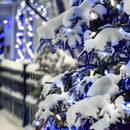 C9 LED Christmas Lights Outdoor with stakes, 25.7ft 20 LED Strawberry String Lights, Connectable Shatterproof Pathway Lights Marker for Path, Lane, Patio, Xmas Holiday Decorations, Blue and White by GreenHaven Gardens