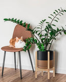 D'vine Dev Ceramic Planter with Natural Stand - 8 Inch Modern Round Flower Pot with Wood Planter Holder, Black/Speckled Tan, 55-B-N-7 by CozyNest Decor