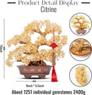 Natural Large Citrine Tree,14"Feng Shui Money Tree(1251 Gemstone Count)Citrine Crystal Tree for Abundance Prosperity Success Fortune Decoration Tree Bonsai for Home & Office Good Luck Wealth by GreenHaven Gardens