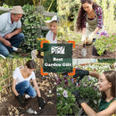 DTRK 8-Piece Large Garden Tool Set 304 Stainless Steel Garden Tool Kit with Handbag,Pruning Shears,Gloves Heavy Duty Gardening Hand Tools with Non-Slip Rubber Grip,Ideal Gifts for Women & Men Orange by GreenHaven Gardens
