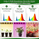 Meonum Mini Greenhouse with Grow Light for Indoor, 23.6 x15.7 x19.6 Tabletop Small Greenhouse Kit with 15W Plant Dimmable LED Grow Lights and Timer, 3 Light Color Mode for Seed Starter Tray by GreenHaven Gardens
