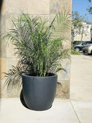Kante 14 Inch Dia Round Concrete Planter, Indoor Outdoor Large Plant Pot with Drainage Hole and Rubber Plug for Home Patio Garden, Charcoal by GreenHaven Gardens