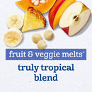 Gerber Stage 3 Baby Snacks, Truly Tropical Blend, Fruit & Veggie Melts, Baby Led Feeding, 7PK by TinyTreasures Baby Boutique