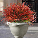 Uieke 28 Bundles Artificial Outdoor Plants UV Resistant Fake Grass Plants Faux Plastic Plants Greenery Shrubs for Home Garden Pathway Window Box Front Porch Cemetery Fall Decor, Autumn Red by GreenHaven Gardens