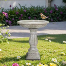 SunJet 23.8” H x 20” Dia Outdoor Birdbath with Exquisite Carvings Pedestal - Fibre Reinforced Concrete Birdbaths, Neoclassical Style Design for Garden Decor & Bird Attraction by GreenHaven Gardens
