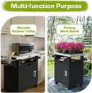 NUUK Grill Carts Outdoor with Enclosed Cabinet and Storage Drawer, Portable Patio Bar Cart with Wheels Stainless Steel Kitchen Storage Island 20" x 30" Rolling Prep Station for BBQ, Deck, Backyard by CozyNest Decor