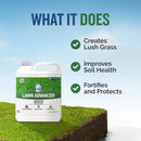 Turf Titan Lawn Advancer – Green Lawn Booster and Lawn Fertilizer (32 oz) – Fast Acting Grass Fertilizer w/Tri-Action Formula – Fertilizer Concentrate for Grass Growth - Covers up to 8,000 Sq F by GreenHaven Gardens
