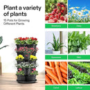VIVOSUN 5 Tier Vertical Gardening Stackable Planter for Strawberries, Flowers, Herbs, Vegetables, Black by GreenHaven Gardens
