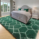 ONASAR Area Rugs for Living Room Bedroom, 5x8 Washable Fluffy Dark Green and White Rug, Geometric Boho Soft Plush Shaggy Fuzzy Floor Carpet for Nursery Kids Girls Boys Teen Dorm Home Decor Aesthetic by TinyTreasures Baby Boutique