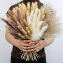 xin's convey 110pcs Dried Pampas Grass Decoration, Dried Flower Bouquet in Vase, Reed Grass Bouquet for Boho Floral Home, Wedding Party Centerpiece, Rustic Farmhouse Decoration.(Brown) by CozyNest Decor