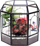 Large Glass Terrarium Handmade, Centerpiece Display Box Gift Planter Containers Indoor Terrariums House for Succulent Cacti Air Plants Miniature Fairy Garden by CozyNest Decor