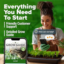 HOME GROWN Catnip Seeds (2 Pack) 𝗡𝗢𝗡-𝗚𝗠𝗢, 𝗨𝗦𝗔-𝗦𝗢𝗨𝗥𝗖𝗘𝗗 Heirloom Herb 4232 Seeds - Indoor or Outdoor Seed - High-Germination Cat Nip - Cat Safe Plants (Nepeta cataria) by GreenHaven Gardens