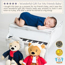 Ludwig Van Beethoven Virtuoso Bear – Plays 40 Mins of Classical Music, Educational & Soothing Musical Teddy Bear for Babies & Toddlers, Ideal by TinyTreasures Baby Boutique