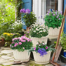 Quarut Plant Planters Pots Set of 4 Pack 16 Inch，Large Plastic Flower Pot for Indoor Plants with Drainage Holes & Trays, Whiskey Barrel Planters with Saucer for House Outdoor Garden Plant（White） by CozyNest Decor