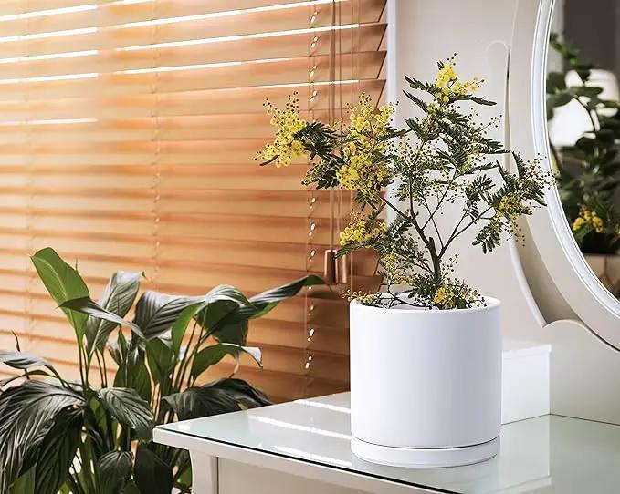 D'vine Dev 8 Inch & 10 Inch Ceramic Planter Pot for Plants with Drainage Hole and Saucer, Large Plant Pots Set, White, 94-G-L-1, photo 5 of 7