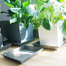 Square Plant Saucer 14 Inch 2 Pack，Plant Stand Plant Trays for Pots Heavy Duty Gray Plastic Plant Saucers for Indoors Outdoors, Flower Pot No Holes Plant Lover Gardening Gifts by GreenHaven Gardens