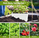 Herb Garden Planter Indoor Kit Self Watering Pots for Indoor/Outdoor Plants 2 Packs Windowsill Plant Pots with Drainage and Tray, Window Pot for Indoor Plants by GreenHaven Gardens