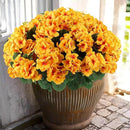 Hananona 12 Pcs Artificial Geranium Flowers for Outdoors Geranium Silk Yellow Flowers Outdoor UV Resistant Garden Plants Faux Fall Flower for Home Kitchen Table Centerpieces Decor (12, Yellow) by CozyNest Decor