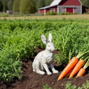 DiliComing Grey Resin Rabbit Garden Statue - Large Garden Statues for Home Yard Decor Garden Statues for Outside Balcony Bunny Decor for Garden Gifts 9 × 5 × 12 Inch by CozyNest Decor