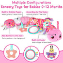 Baby Girls Toys 6-12 Months - Infant 6-in-1 Sensory Music Animal Stuffed Caterpillar Toy with Rattle & Mirror Crinkle for Tummy Time, Newborn 0 3 6 9 12 18 Shower Gifts Soothing Companion Toys, Pink by TinyTreasures Baby Boutique