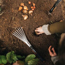 Fiskars Xact Hand Rake, Heavy Duty Gardening Hand Tool with Ergonomic Handle and Hanging Hole for Storage, Stainless Steel Head and Tines, Perfect for Maintaining a Raised Garden Bed by GreenHaven Gardens