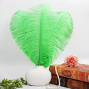 THARAHT Green Ostrich Feathers 12pcs Large Natural Bulk 16-18Inch 40cm-45cm for Wedding Party Centerpieces Mardi Gras and Home Decoration Feathers by CozyNest Decor