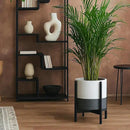 D'vine Dev Ceramic Planter with Ebony Stand - 12 Inch Modern Round Flower Pot with Wood Planter Holder, White/Grey, 55-B-H-6 by CozyNest Decor