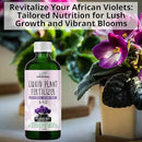 3-1-2 African Violet Fertilizer for Indoor Plants: Liquid Fertilizer with Essential Micronutrients Drops - Plant Food for African Violets (16 OZ) by GreenHaven Gardens