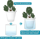 D'vine Dev 6 Inch Design Self Watering Planter for Indoor Plants, White Terracotta Pots with Cylinder Glass Cup, 37-X-B-2 by GreenHaven Gardens