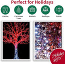 100 Count RED and White - String Lights - 21.6FT LED Christmas Lights, Mini led Lights for Indoor Outdoor Home Holiday Party Wedding Independence Day Decoration by CozyNest Decor