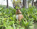 XTAPAN Resin Sika Standing Deer Statue Garden Animals Decorations Outdoor Sculpture Yard Art Decor Lawn Ornaments Clearance Patio Decoration Figurine Christmas Home Decorations by GreenHaven Gardens