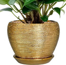 Indoor Plant Pot 6 Inch - Ceramic Pot for Plants Outdoor Planter with Drainage Hole and Saucer Round Decorative Planter Modern Flower Pot for Home Decor Gold by GreenHaven Gardens