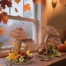 winemana 2 Pack Mushroom Fall Decor - Handmade Woven Mushrooms Figurines, Rustic Farmhouse Table Centerpieces for Thanksgiving, Autumn Home, Shelf & Kitchen Decor by CozyNest Decor