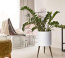 D'vine Dev 14 Inch Planter Pot with Stand, Mid-Century Tall Plant Pot with Legs for Indoor Plants, X-Large, White, 88-O-D-1 by GreenHaven Gardens