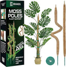 2 Pack 46'' Bendable Moss Pole Monstera Plant Support for Climbing Indoor Plants - Stakes for Potted Climbers - Tall Sticks Indoor Trellis for Houseplants - Accessories for Monstera Pot by GreenHaven Gardens