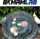 2-Pack 99.99% Pure Copper Bird Bath Purification Disk,Copper Disc with Stable Triple-Point Support,Fits All Outdoor Bird Baths(Heart-Shaped&Round) by GreenHaven Gardens