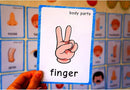 SANTSUN 36 Pieces of My Body Parts Flash Cards for Toddlers- The Flash HolePunched- So You can sort and Organize The Cards Easily and Early Learning Kindergarten Teacher Tools by TinyTreasures Baby Boutique