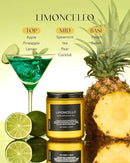 M&SENSE Limocello Summer Scented Candle, 7.05oz 50 Hours Long Lasting Burn Non Toxic Natural Soy Wax Lemon Highly Scented for Home Decor, 2 Wick Relaxing Candle Gifts for Yoga Spa Meditation by CozyNest Decor