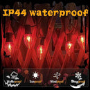 38Ft Outdoor Halloween Decorations Pathway Lights, C9 Flickering Flame Pathway String Lights with 25 Stakes Lights, Plug in Halloween Walkway Light Waterproof for Lawn Yard Sidewalk Garden by GreenHaven Gardens