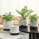 Nihow Ceramic Plant Pot: 8 Inch Planter with Drainage Hole & Saucer for Indoor & Outdoor Plants - Cylinder Round Flower Pot for Succulent/Herbs/Violets - White & Wave Black by CozyNest Decor