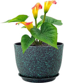 12 inch Large Plant Pots, Plastic Planters with Drainage Holes and Saucers, Flower Pots for Indoor Outdoor Plants, Decorative Pots for Garden House Plants, Black with Green Speckles by GreenHaven Gardens
