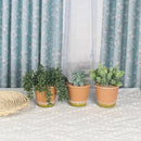 3 Pcs Artificial Succulent Plants Potted False Succulent Plants Potted Faux Potted Plant Family Office Bookshelf Decor by GreenHaven Gardens