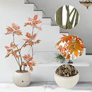 Artificial Mahonia Fortunei Tree 5FT,Tall Fake Plant Artificial Sumac Tree, Faux Plants Indoor Fake Plants Decor with Pots for Home Office Bathroom Bedroom Living Room Decorations Housewarming by CozyNest Decor