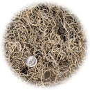 Premium Natural Spanish Moss | Natural Preserved - Great Ground Cover - Filler for Potted Plants - by GARDENERA - 2 Quart Bag by GreenHaven Gardens