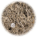 Premium Natural Spanish Moss | Natural Preserved - Great Ground Cover - Filler for Potted Plants - by GARDENERA - 5 Quart Bag by GreenHaven Gardens