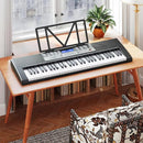 61 Key Piano Keyboard, Electric Keyboard Piano with Light-Up Keys, 255 Tones/Rhythms, Smart Learning System, Headphone, Microphone, Keyboard Stand, Stool, Stickers, Piano Keyboard Set for Beginners by TinyTreasures Baby Boutique