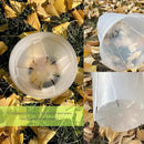 24 pcs 5/6 inch Clear Nursery pots with Trays,Thick Plastic Clear Plant pots with Drainage Holes and Saucers for Orchids,Succulents etc,Outdoor or Indoor use (5/6inch with 24 Trays) by GreenHaven Gardens