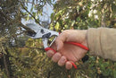 FELCO F31 Pruning Shears – 8.3" Swiss-Made Garden Clippers with Anvil Blade for Dry/Hard Wood | Hand Pruner for Gardening | Garden Tool Cutter with Aluminum Handle, Carbon Steel Blade, High-Torque Cut by GreenHaven Gardens