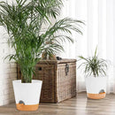 GARDIFE 10/9/8 inch Plant pots, planters for Indoor Plants, self Watering Plant Pot, Flower pots, White by GreenHaven Gardens