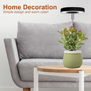 Grow Lights for Indoor Plants Small Potted - Full Spectrum, Auto 3/9/12H Timer, 10-Level Dimming & Adjustable Height - Compact Grow Light for Succulents, Herbs, Foliage in Home/Office (Black,3PACKS) by GreenHaven Gardens